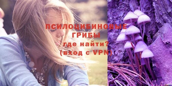 спайс Белокуриха